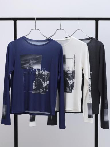 LASUDxTシャツ/カットソー